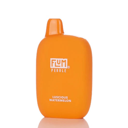 FLUM Pebble Rechargeable Disposable [6000]